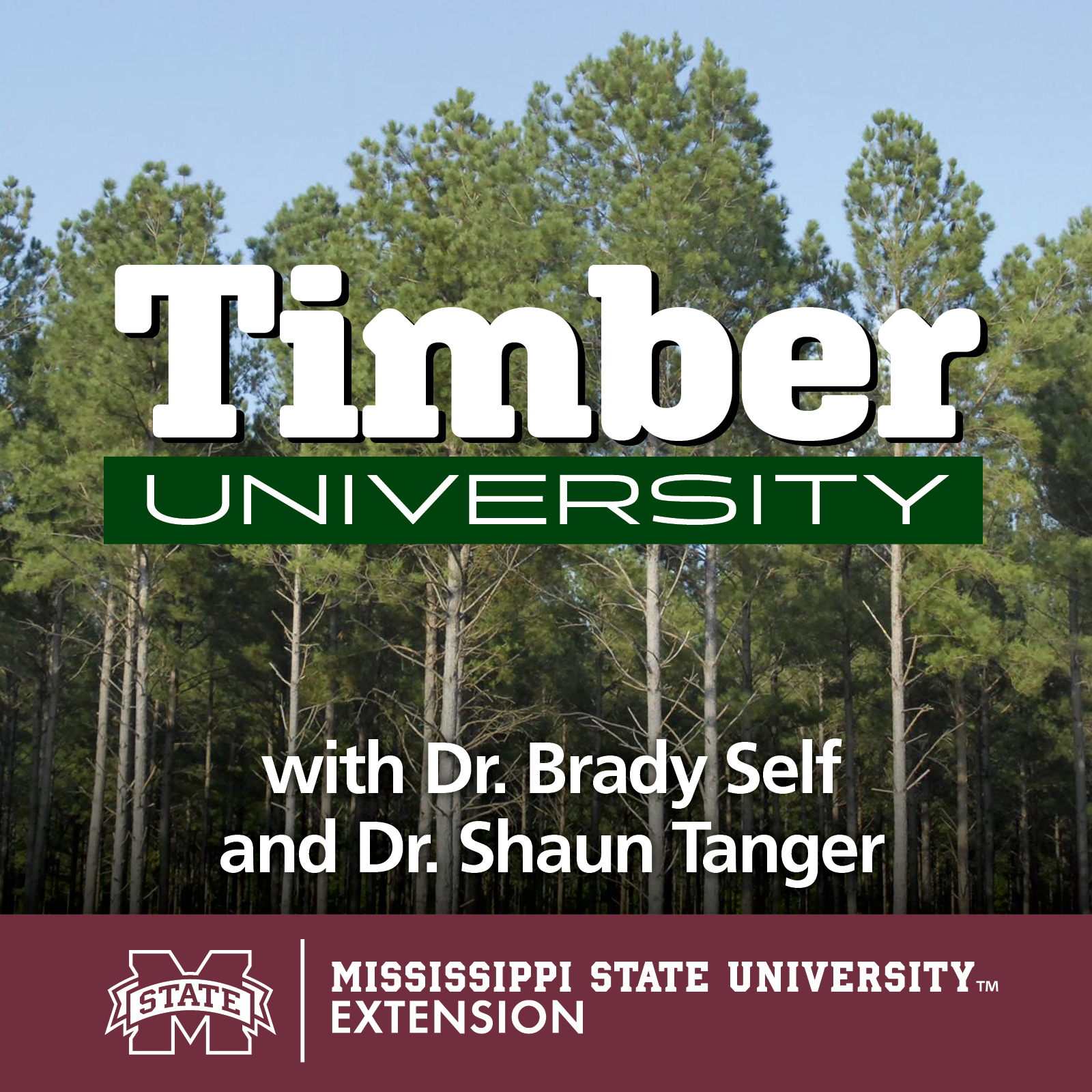 Timber University