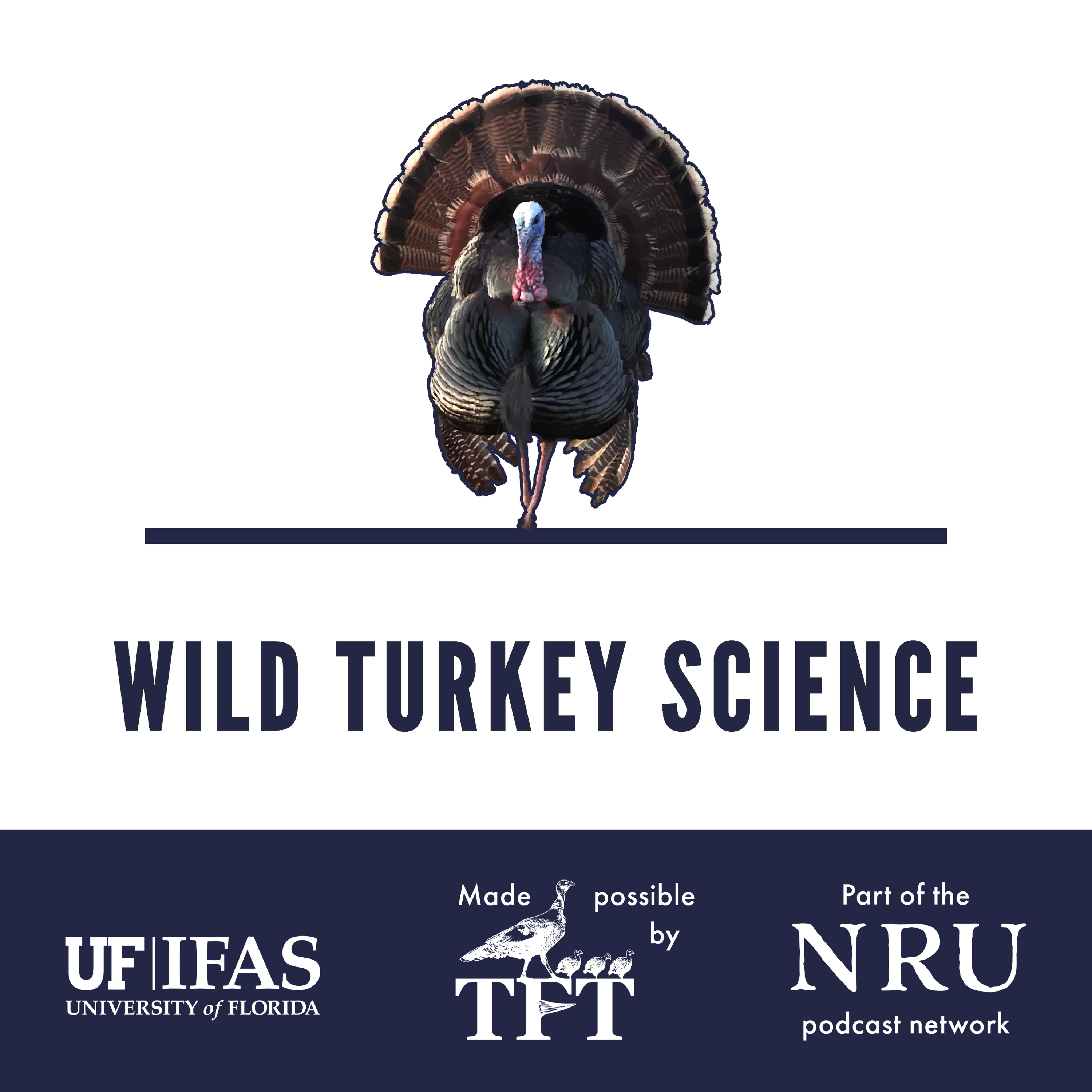 Wild Turkey Science