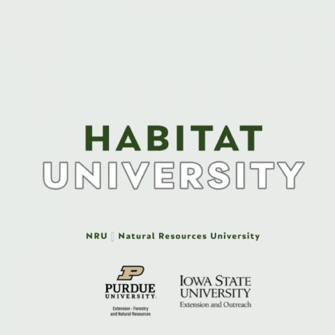 Habitat University Logo