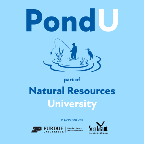 Pond University Podcast Logo