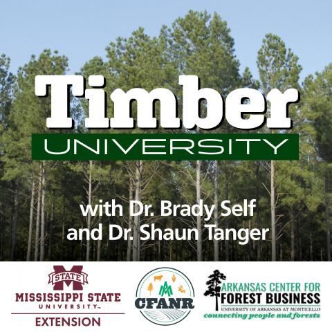 Timber University Podcast Logo