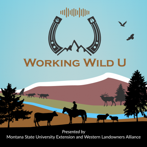 Working Wild U Podcast Logo
