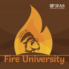 Natural Resources University